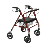 Load image into Gallery viewer, Go-Lite Bariatric Steel Rollator