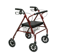 Load image into Gallery viewer, Go-Lite Bariatric Steel Rollator
